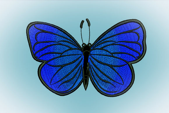 A Designer's Review of Butterfly Gradation for Market Success